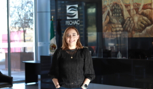 Ejecutiva de Seguimiento